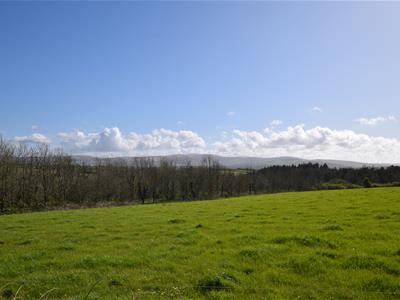 Picture 23